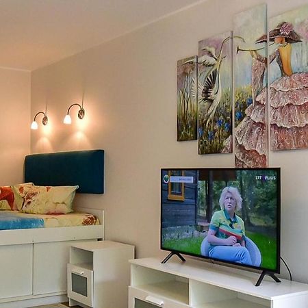 טרקאי Stilingi Apartamentai Su Virtuve Traku Miesto Centre מראה חיצוני תמונה