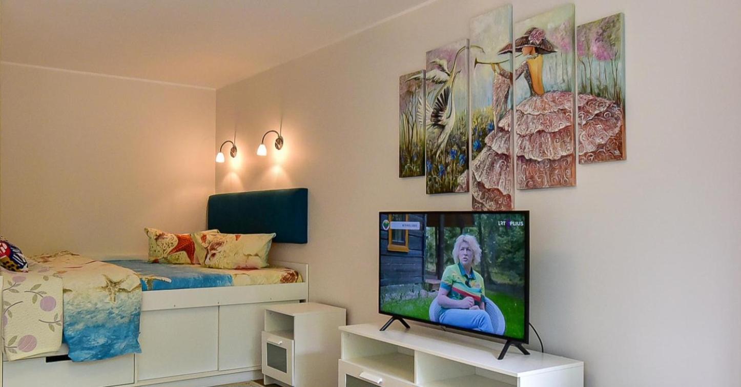 טרקאי Stilingi Apartamentai Su Virtuve Traku Miesto Centre מראה חיצוני תמונה